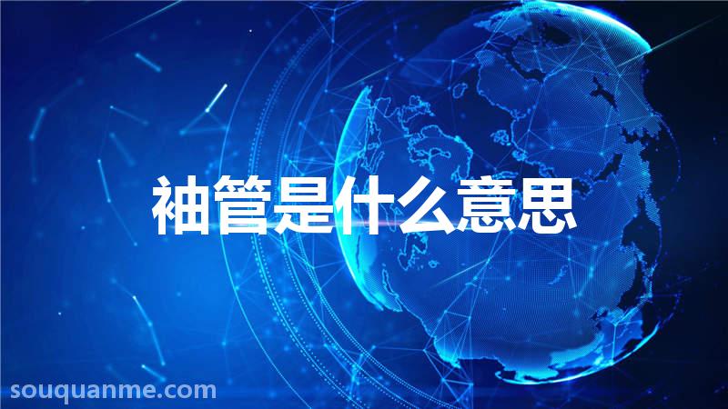 袖管是什么意思 袖管的读音拼音 袖管的词语解释